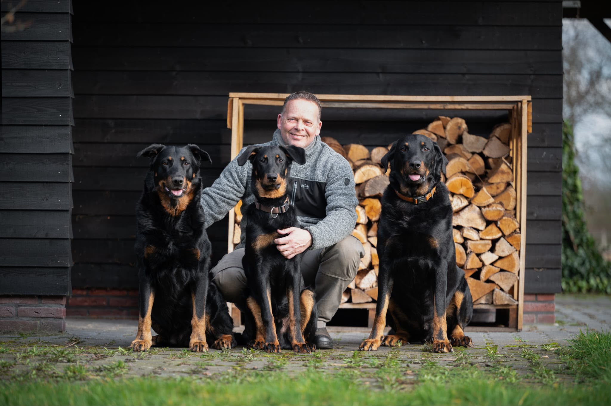 Beauceron hond